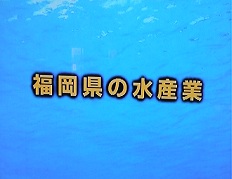 福岡県の水産業の参考画像