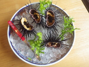 okagaki_uni3
