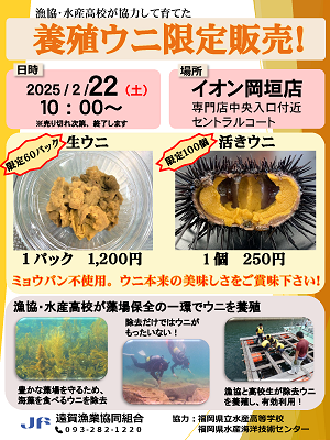 チラシPDF
