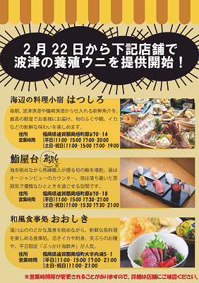 チラシPDF