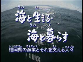 「海と生きる・海と暮らすの参考画像